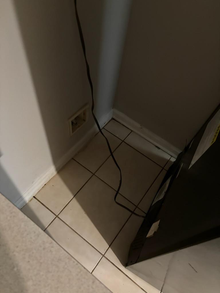 Floor after cleaning
